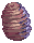 Pupa