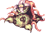 Mandragora