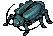 Thief Bug Male