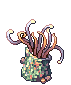 Hydra