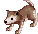 Baby Desert Wolf
