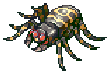 Giant Spider