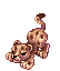 Baby Leopard