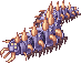 Centipede