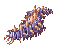 Centipede Larva